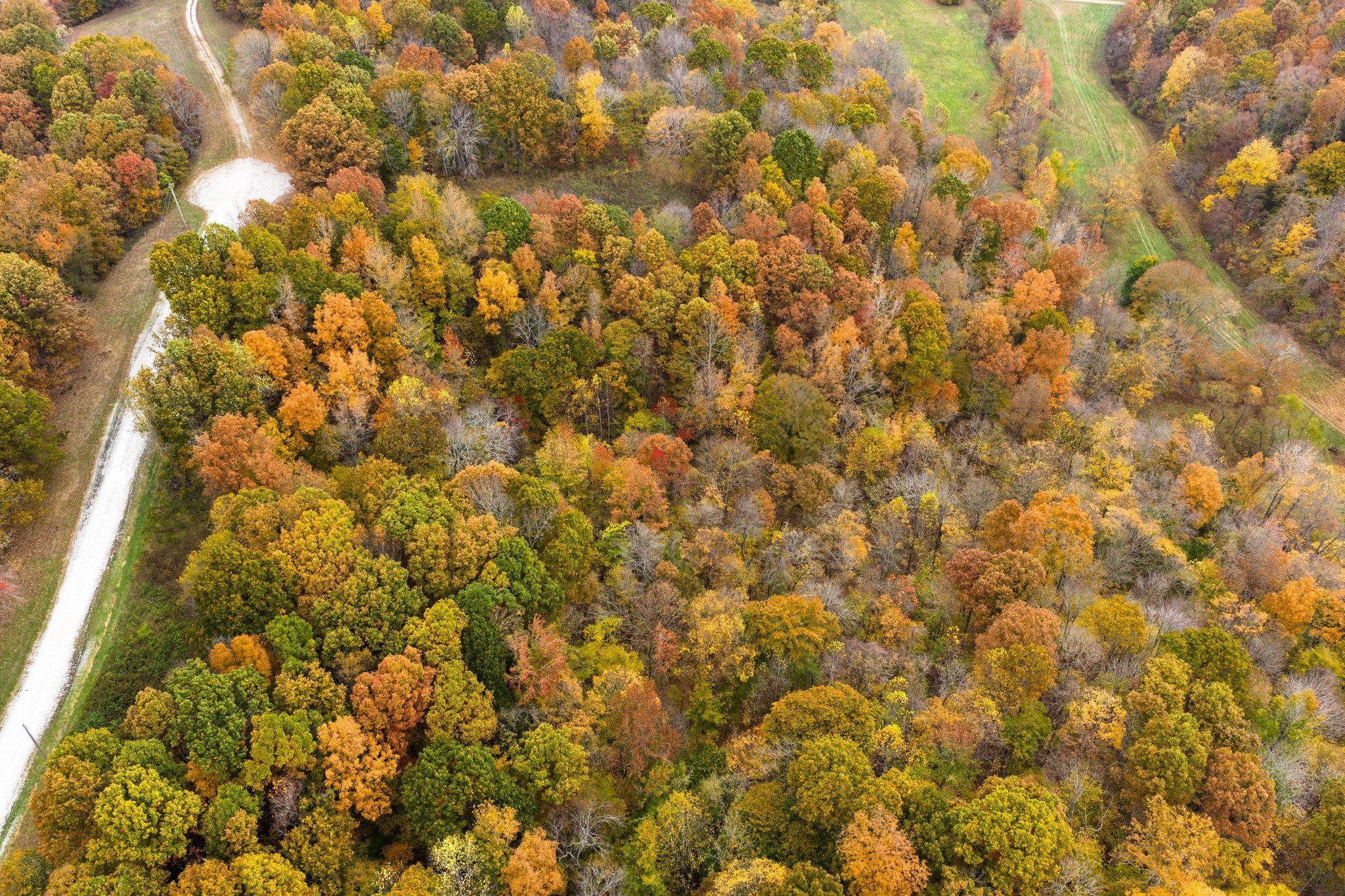 0 Overview Drive Waverly, TN 37185 - Photo 8 of 35 a view of a yard