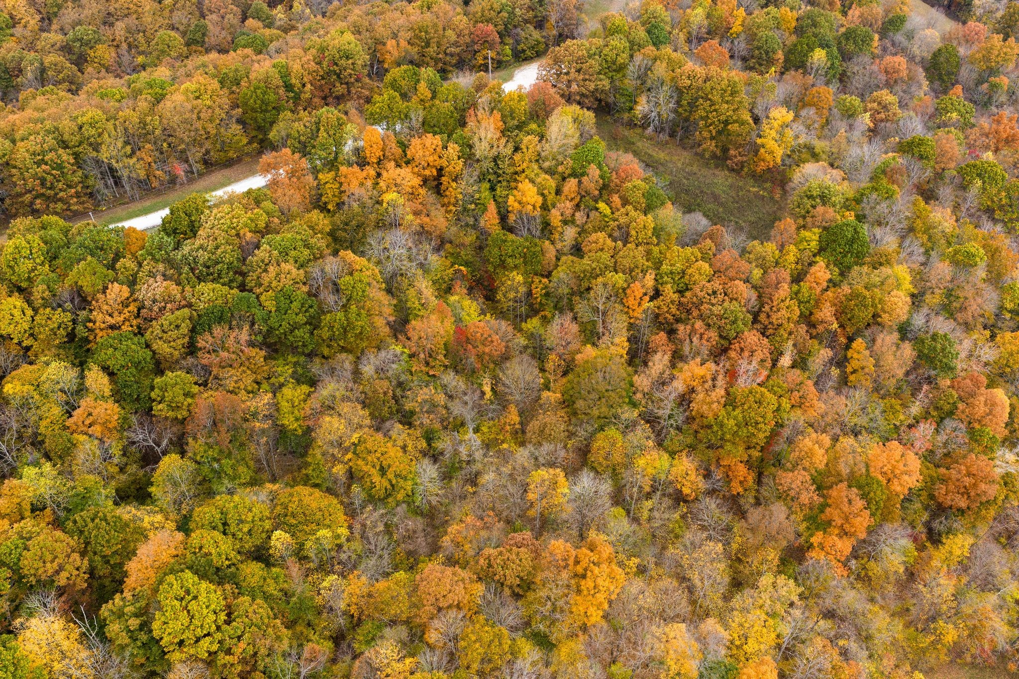 0 Overview Drive Waverly, TN 37185 - Photo 9 of 35