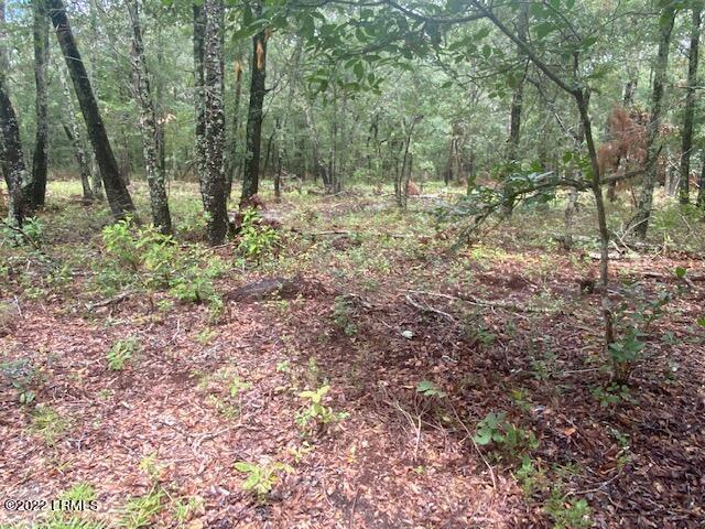 15 Rosa Scott Road St. Helena Island, SC 29920 - Photo 1 of 8 image0