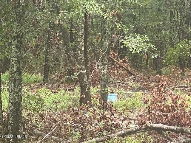 15 Rosa Scott Road St. Helena Island, SC 29920 - Photo 2 of 8 image3