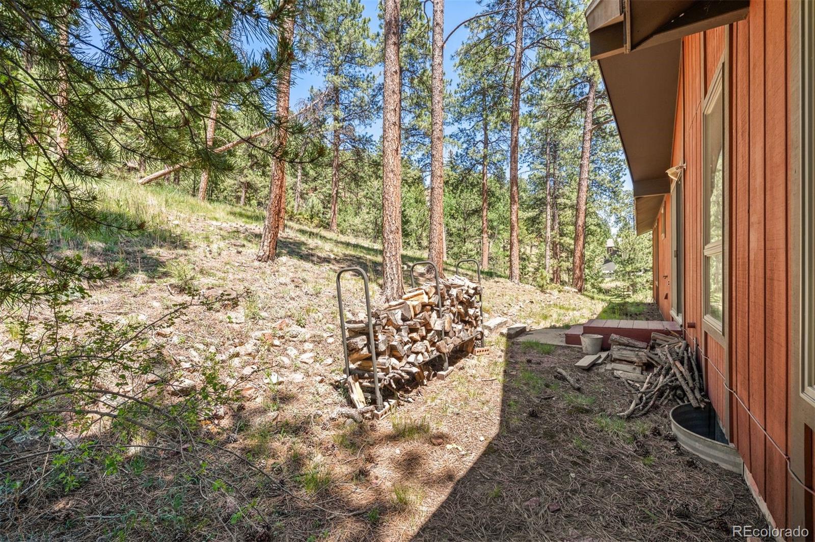 33057 Little Cub Road Evergreen, CO 80439 - Photo 33 of 50