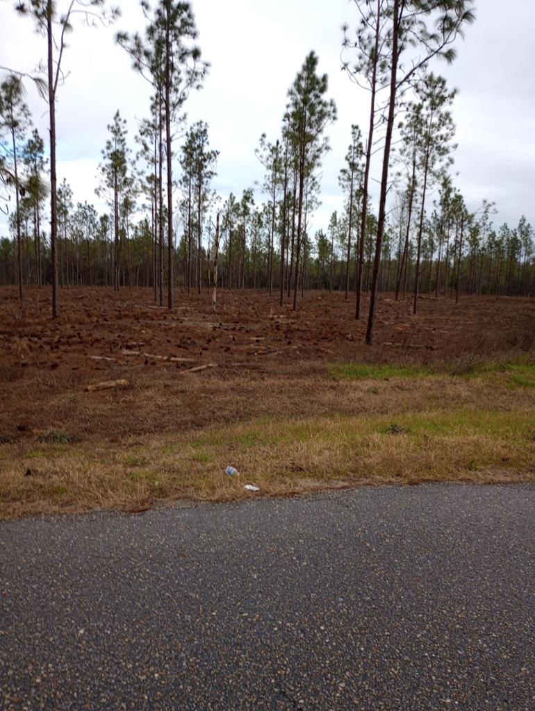 0 Northeast Liberty Road Ashford, AL 36312 - Photo 1 of 1