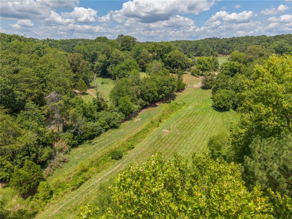 0 Mt Pleasant Road Northeast Fairmount, GA 30139 - Photo 17 of 50 a view of a big yard with lots of green space