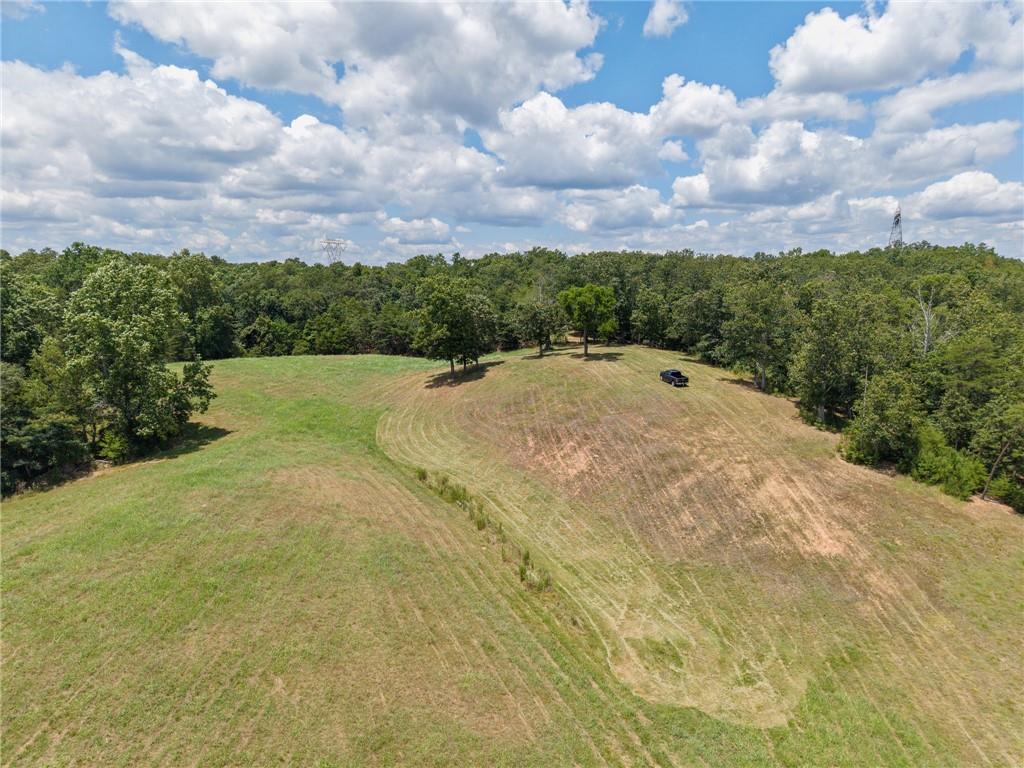 0 Mt Pleasant Road Northeast Fairmount, GA 30139 - Photo 20 of 50 a view of outdoor space and yard