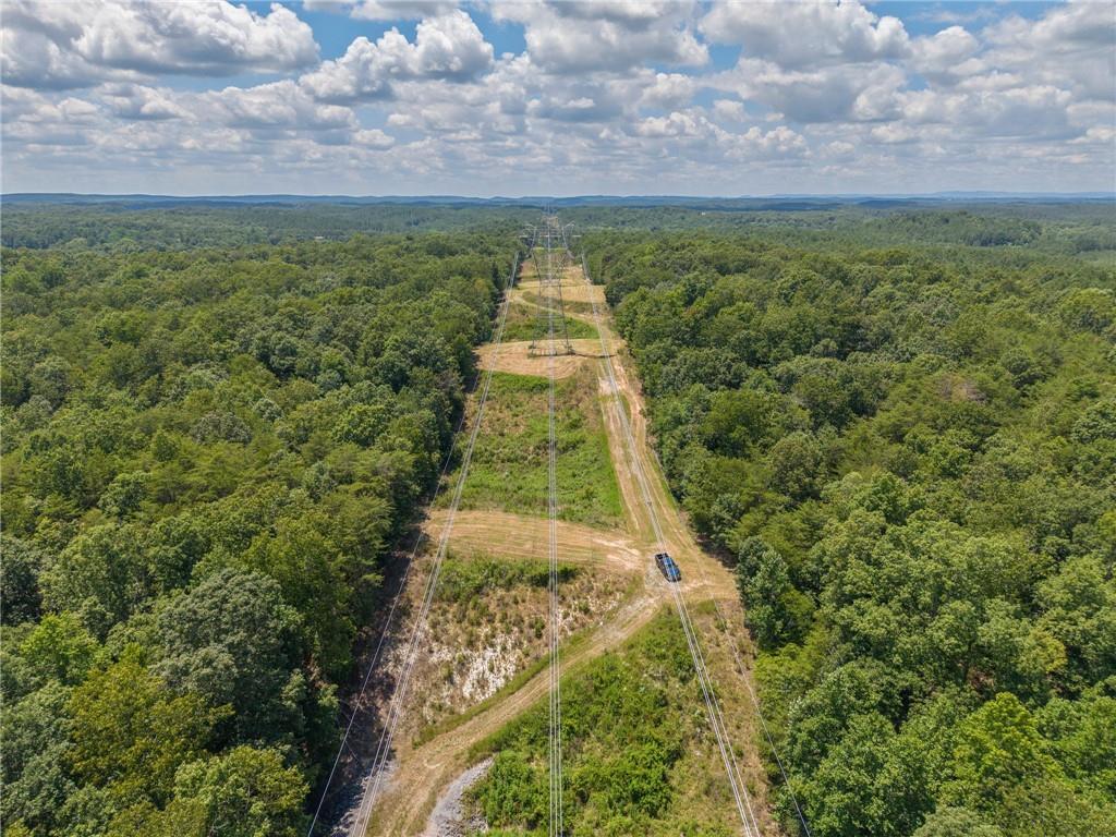 0 Mt Pleasant Road Northeast Fairmount, GA 30139 - Photo 25 of 50 a view of a yard