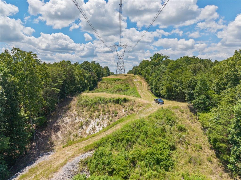 0 Mt Pleasant Road Northeast Fairmount, GA 30139 - Photo 27 of 50 a view of a garden