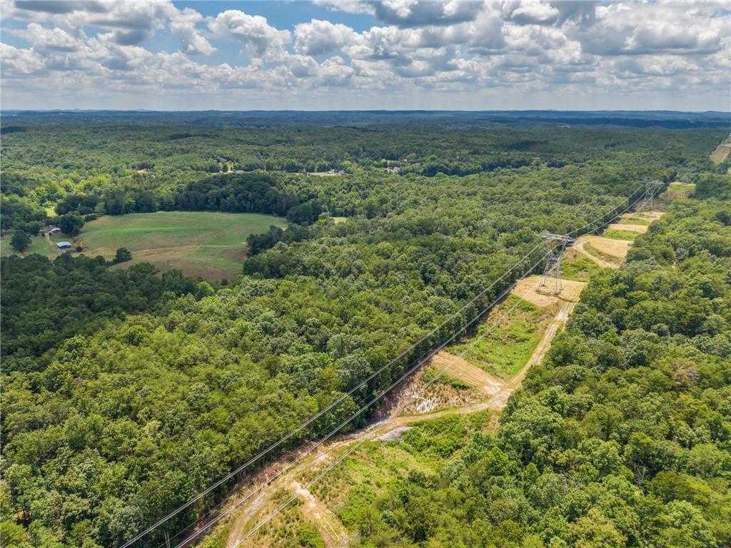 0 Mt Pleasant Road Northeast Fairmount, GA 30139 - Photo 34 of 50 a view of a lake from a yard