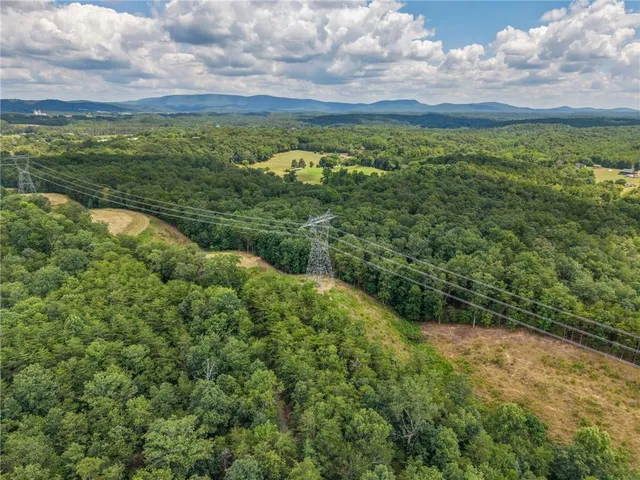 a view of a forest with trees in the background