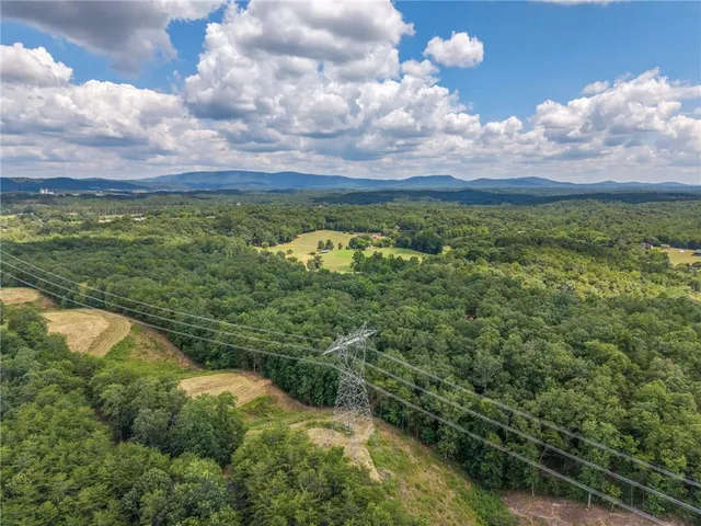 a view of a forest with trees in the background