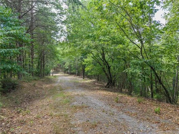 a view of a yard