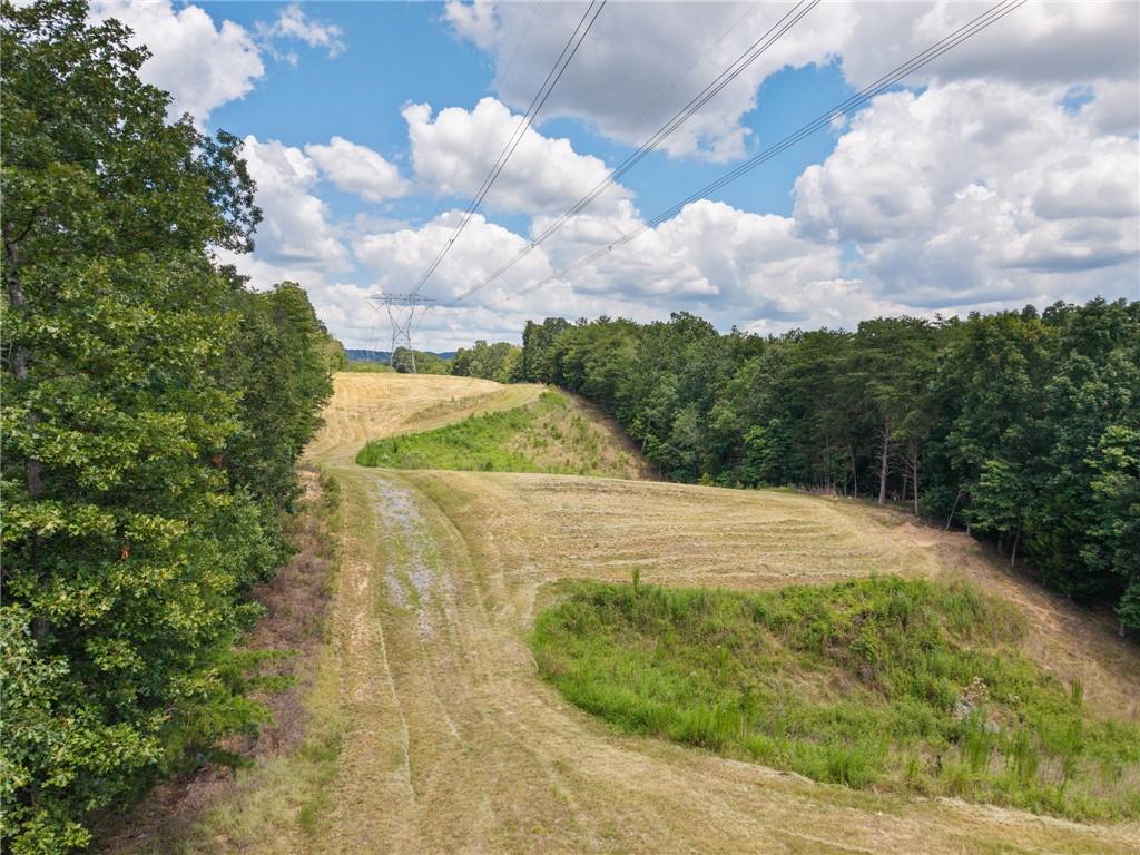 0 Mt Pleasant Road Northeast Fairmount, GA 30139 - Photo 50 of 50 a view of a yard