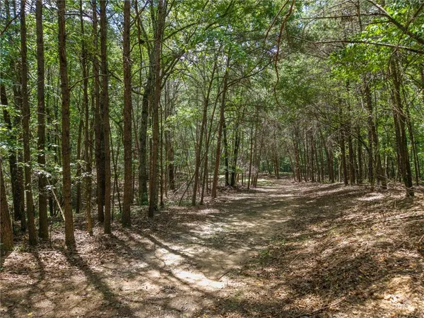 a view of outdoor space with trees