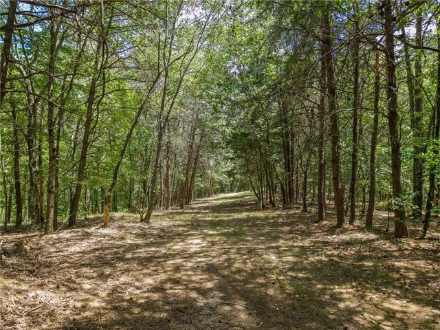 a view of outdoor space with trees