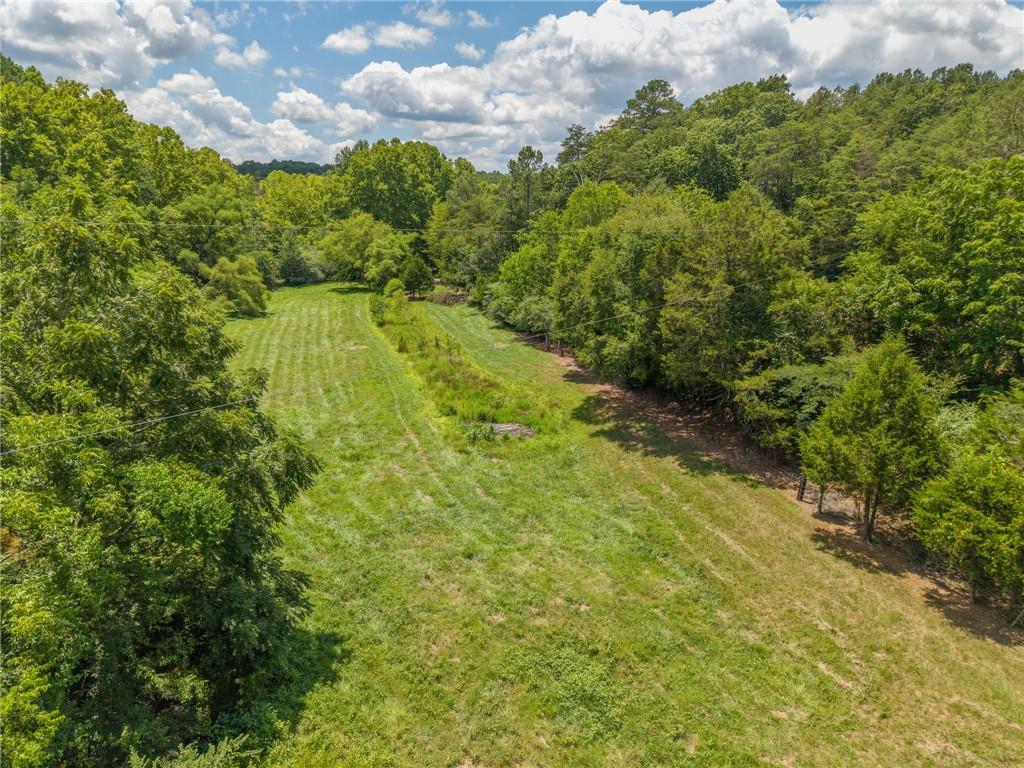 0 Mt Pleasant Road Northeast Fairmount, GA 30139 - Photo 10 of 50 a view of a yard