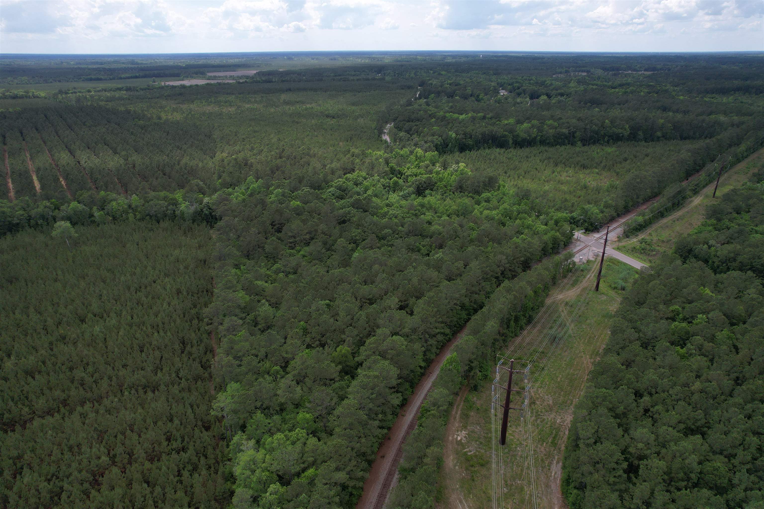 5871 Pennyroyal Road Georgetown, SC 29440 - Photo 7 of 15