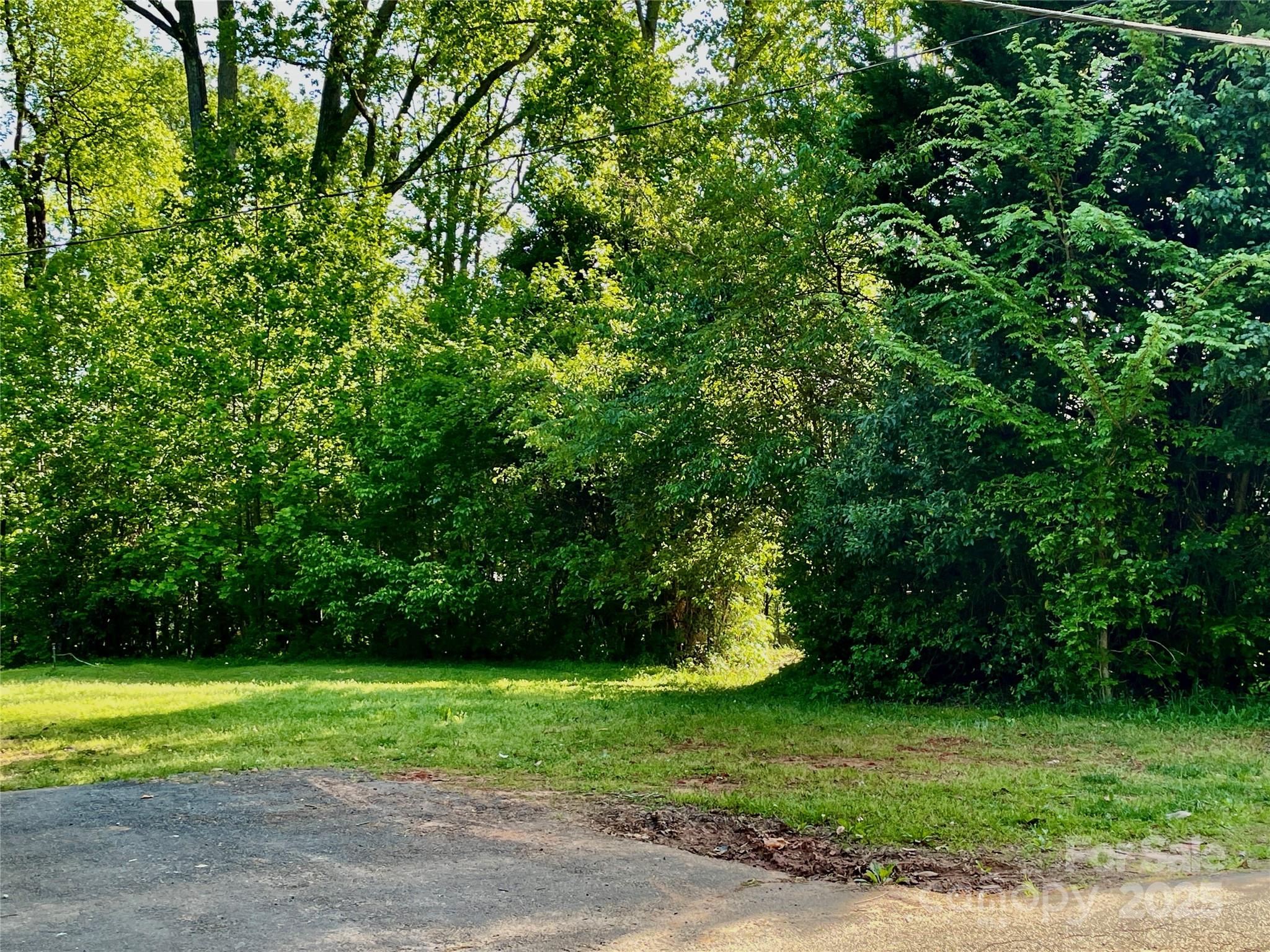 220 Avery Street Fort Mill, SC 29715 - Photo 2 of 5