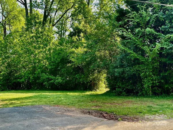 a view of a yard