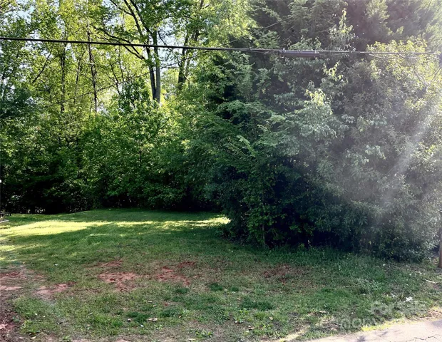 a view of outdoor space and yard
