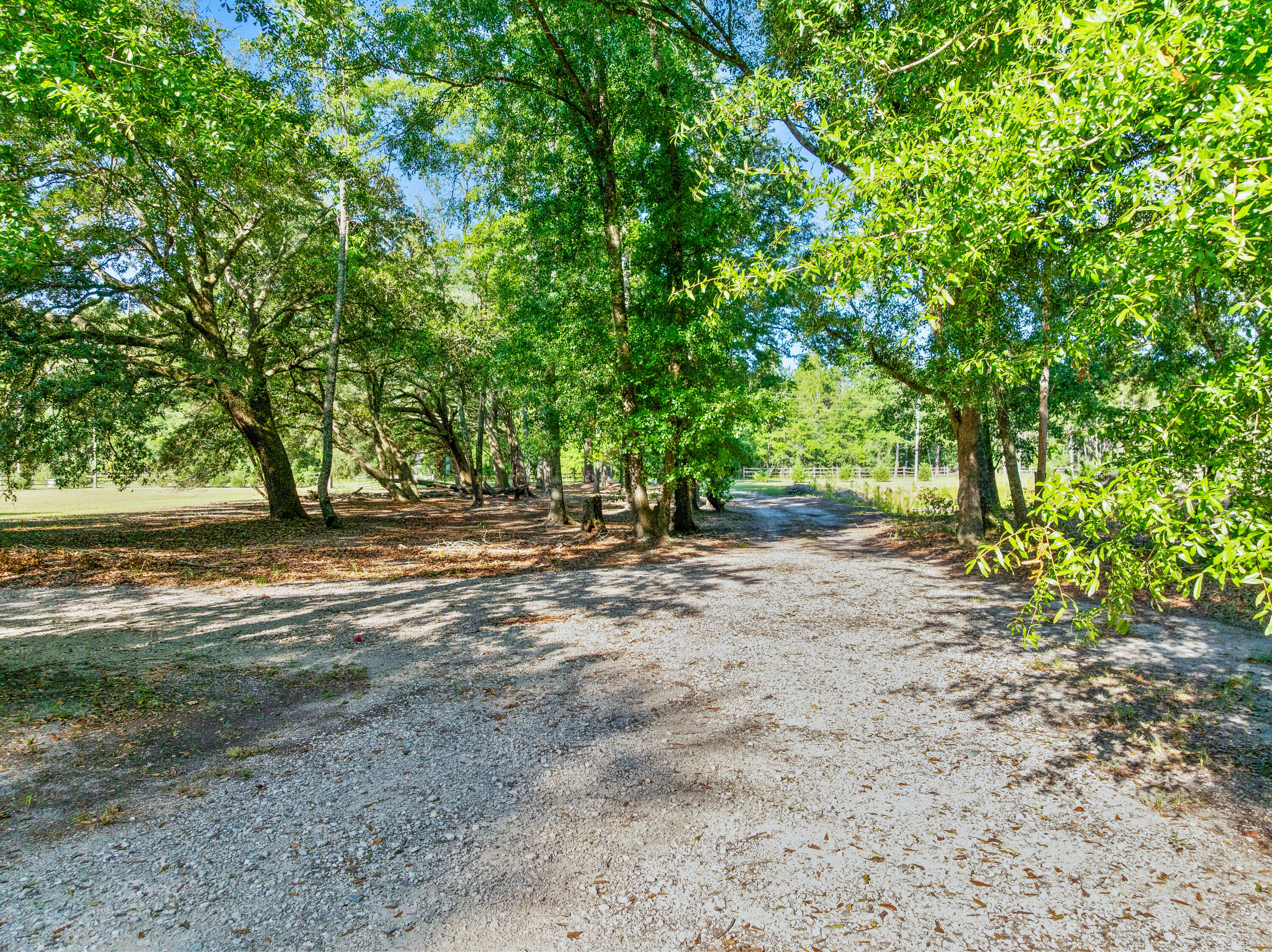 404 Marion Road Dorchester, SC 29437 - Photo 23 of 24 404Marion.NicoleBurbagePhoto-25