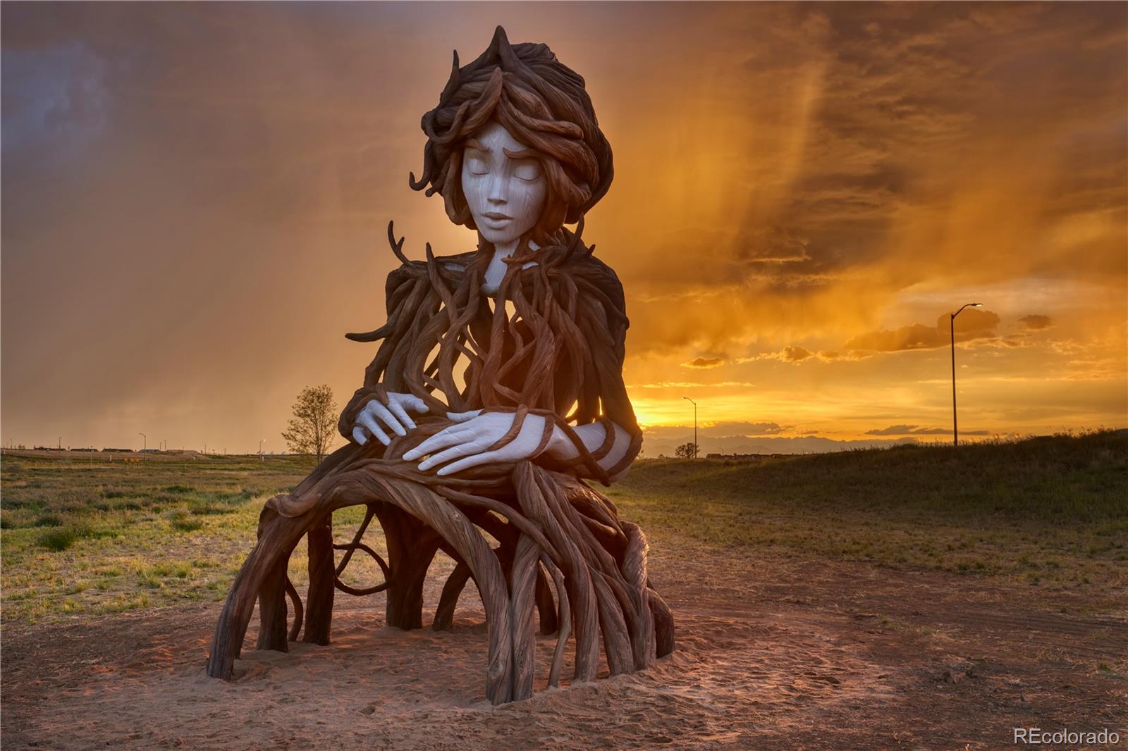 23966 E River Aurora, CO 80019 - Photo 50 of 50 a view of a yard