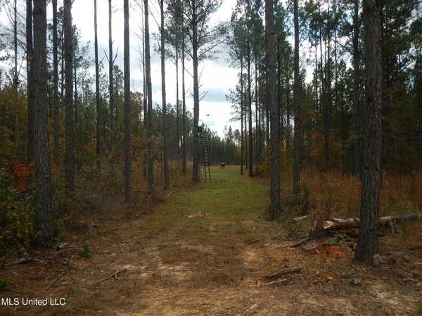 $599,000 | 773 Permenter Road, Camden, MS 39045