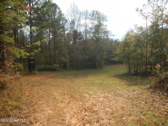 $599,000 | 773 Permenter Road, Camden, MS 39045