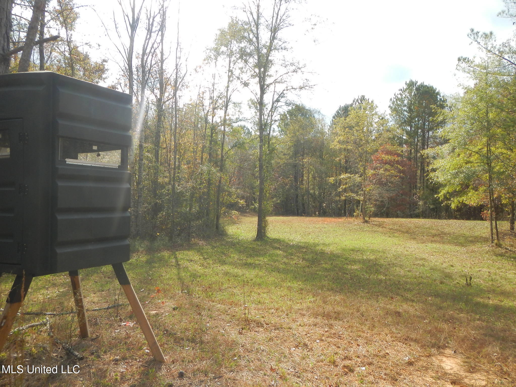 773 Permenter Road Camden, MS 39045 - Photo 15 of 50 DSCN9928