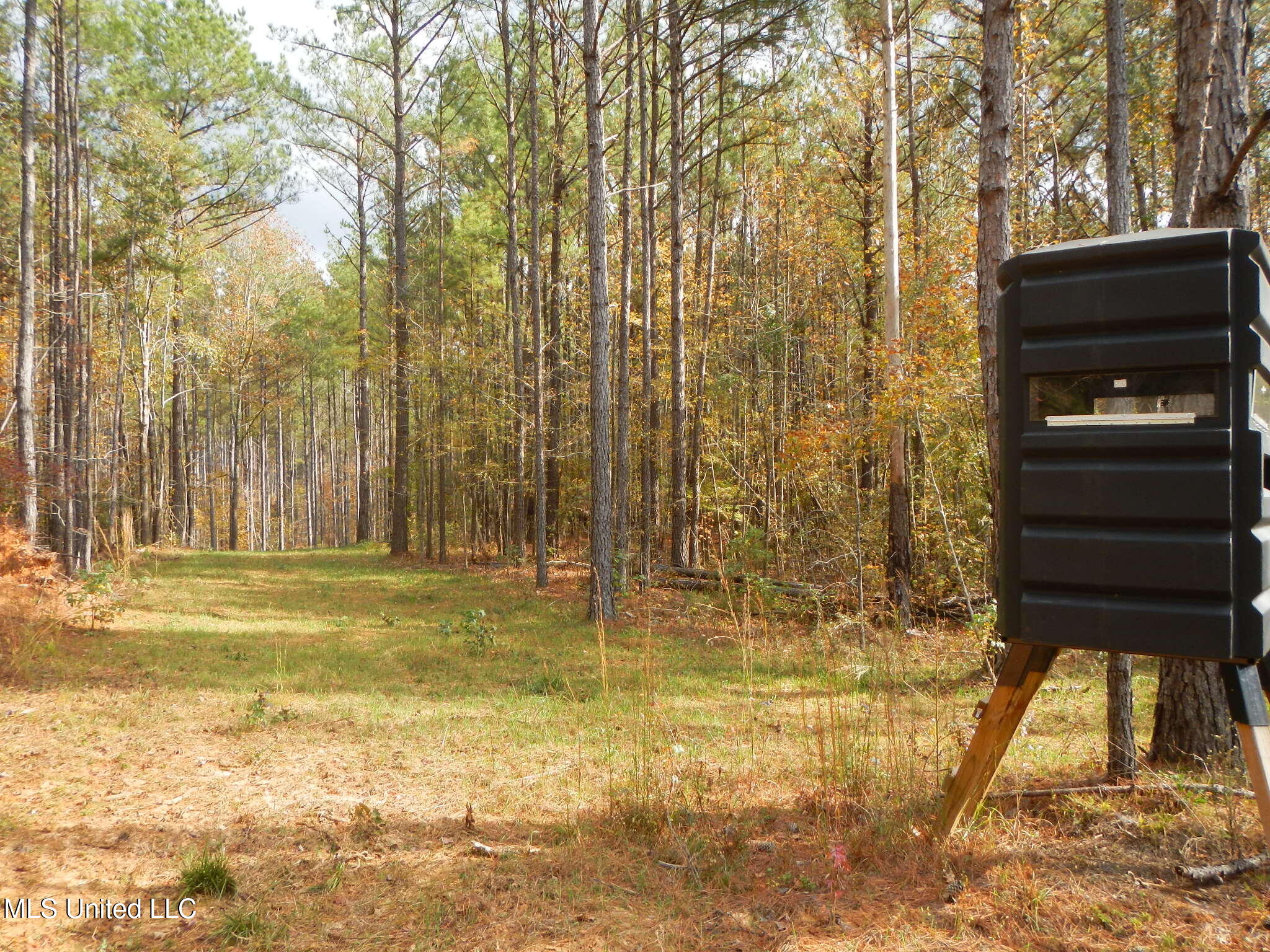 773 Permenter Road Camden, MS 39045 - Photo 16 of 50 DSCN9929