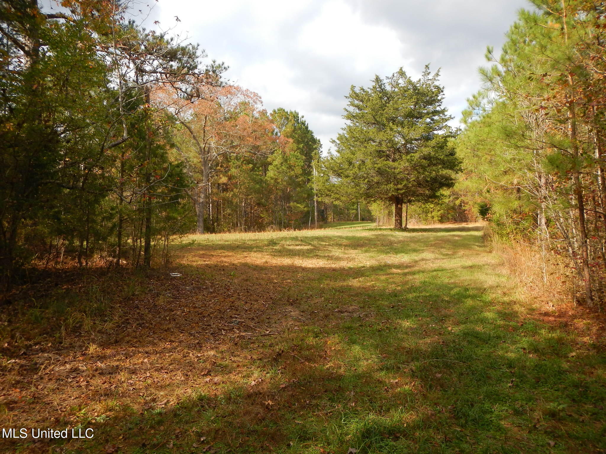 773 Permenter Road Camden, MS 39045 - Photo 17 of 50 DSCN9930