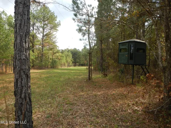$599,000 | 773 Permenter Road, Camden, MS 39045