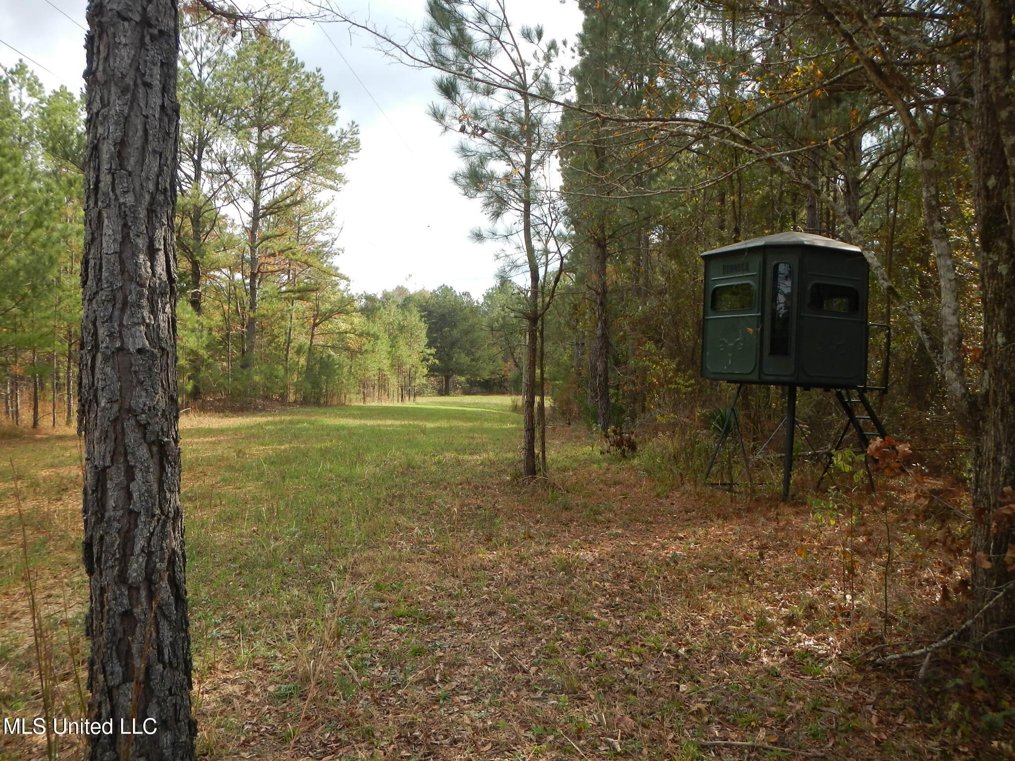773 Permenter Road Camden, MS 39045 - Photo 18 of 50 DSCN9931