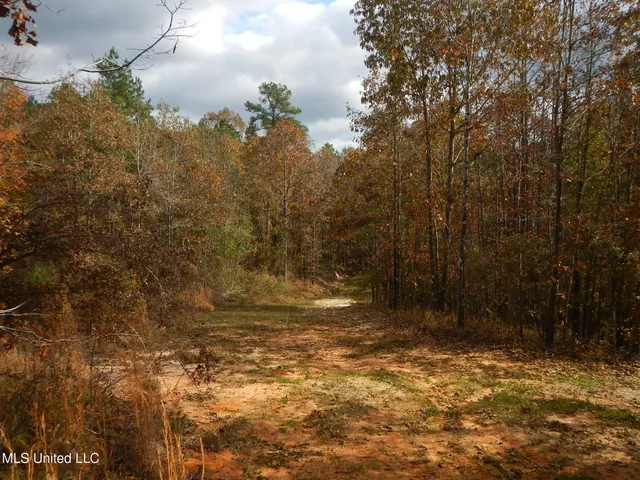 $599,000 | 773 Permenter Road, Camden, MS 39045