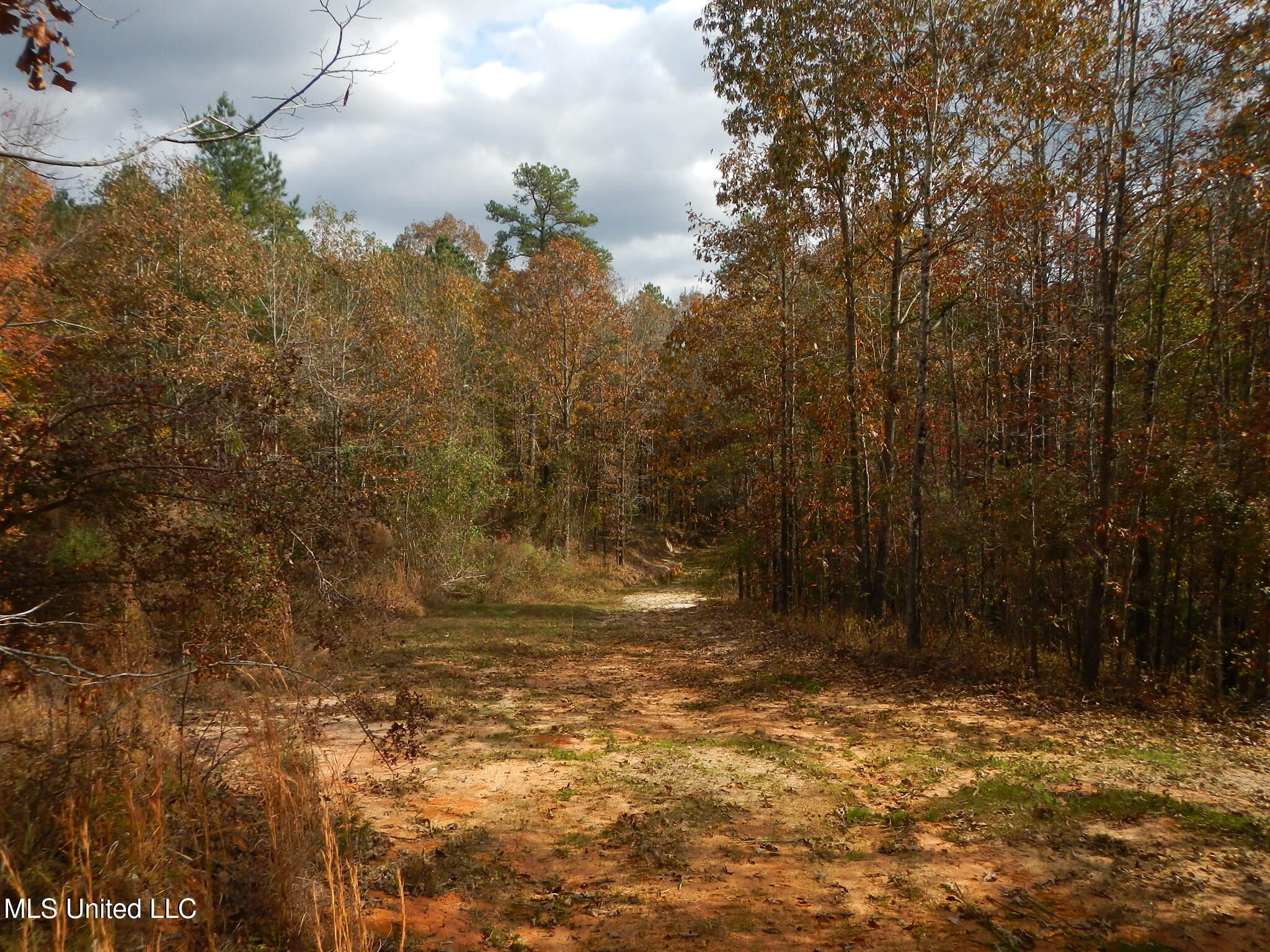 773 Permenter Road Camden, MS 39045 - Photo 20 of 50 DSCN9933