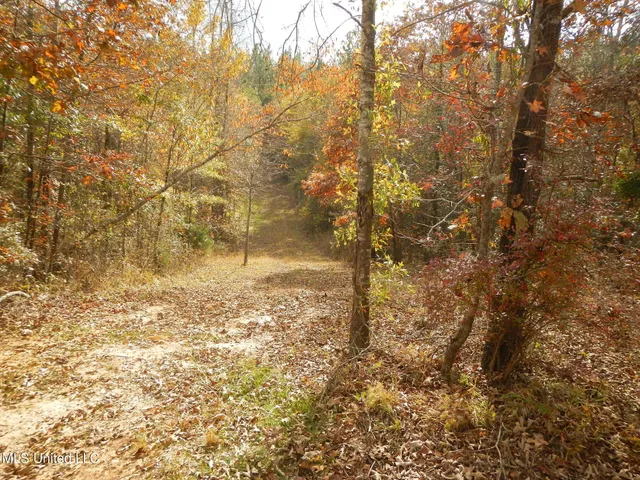 $599,000 | 773 Permenter Road, Camden, MS 39045