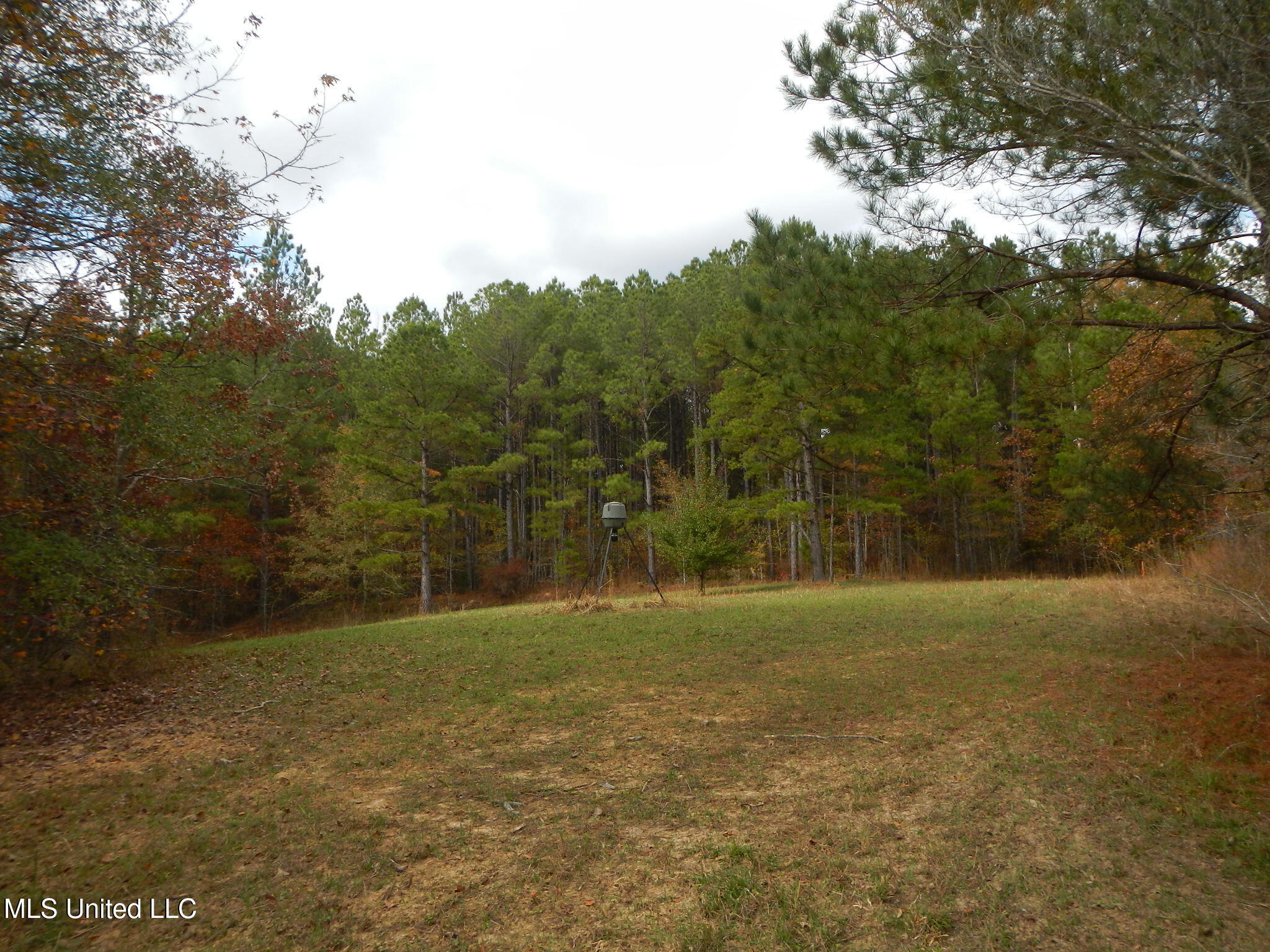 773 Permenter Road Camden, MS 39045 - Photo 22 of 50 DSCN9935