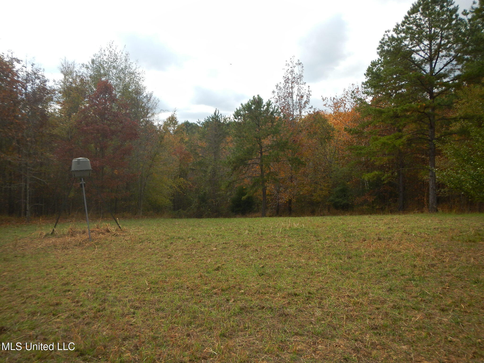 773 Permenter Road Camden, MS 39045 - Photo 23 of 50 DSCN9936