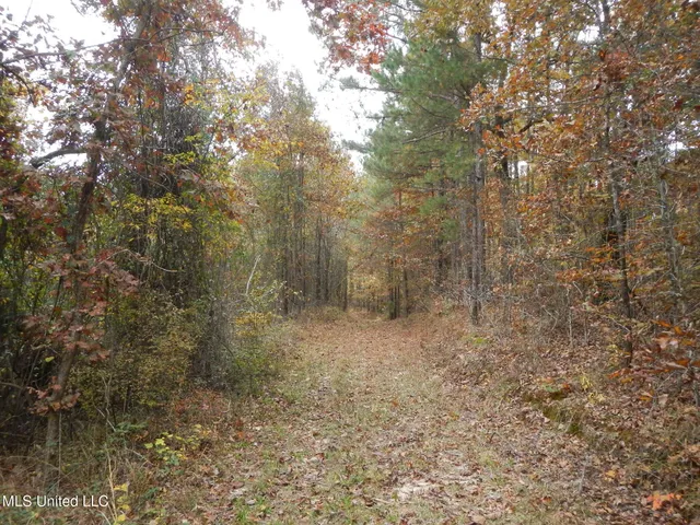 $599,000 | 773 Permenter Road, Camden, MS 39045