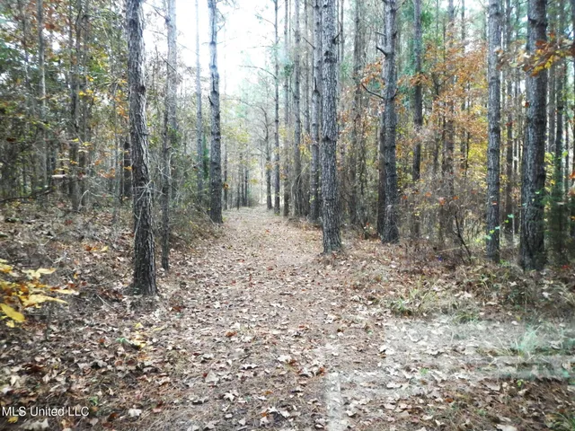 $599,000 | 773 Permenter Road, Camden, MS 39045