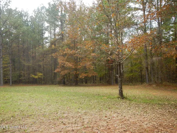 $599,000 | 773 Permenter Road, Camden, MS 39045