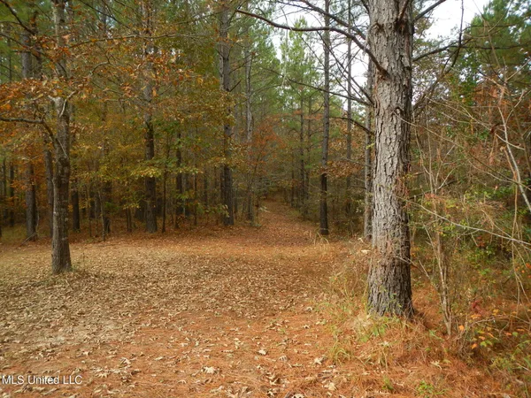 $599,000 | 773 Permenter Road, Camden, MS 39045