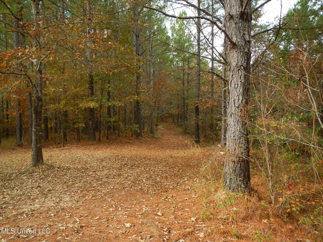 $599,000 | 773 Permenter Road, Camden, MS 39045