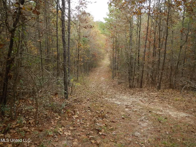 $599,000 | 773 Permenter Road, Camden, MS 39045