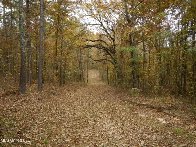 $599,000 | 773 Permenter Road, Camden, MS 39045