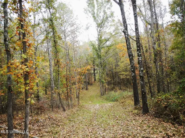 $599,000 | 773 Permenter Road, Camden, MS 39045