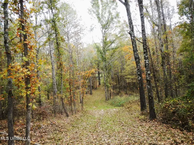 $599,000 | 773 Permenter Road, Camden, MS 39045