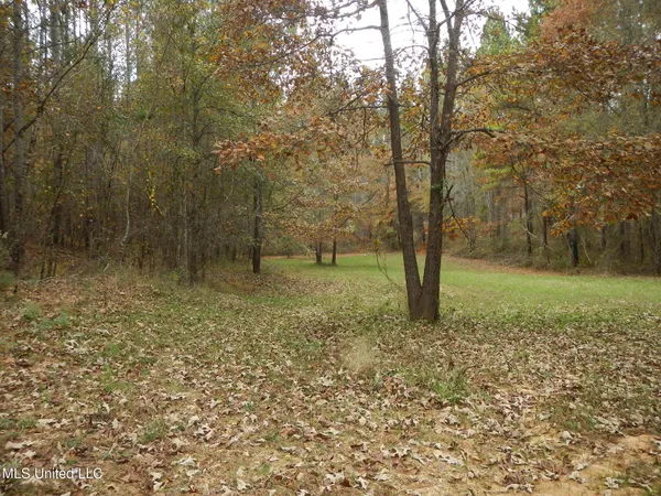 $599,000 | 773 Permenter Road, Camden, MS 39045