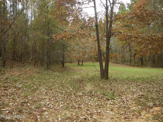 $599,000 | 773 Permenter Road, Camden, MS 39045