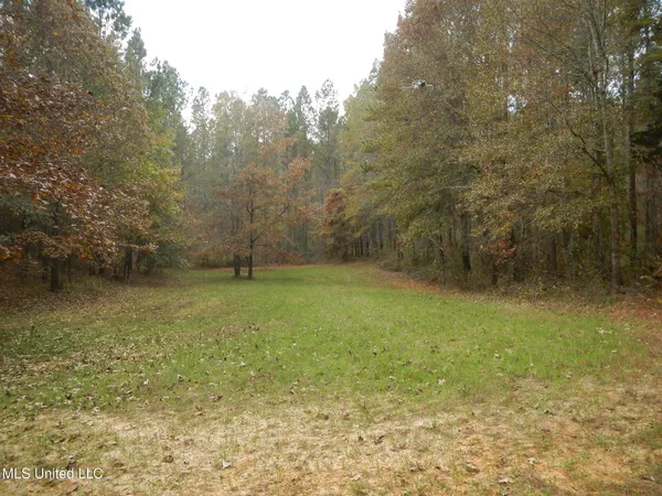 $599,000 | 773 Permenter Road, Camden, MS 39045