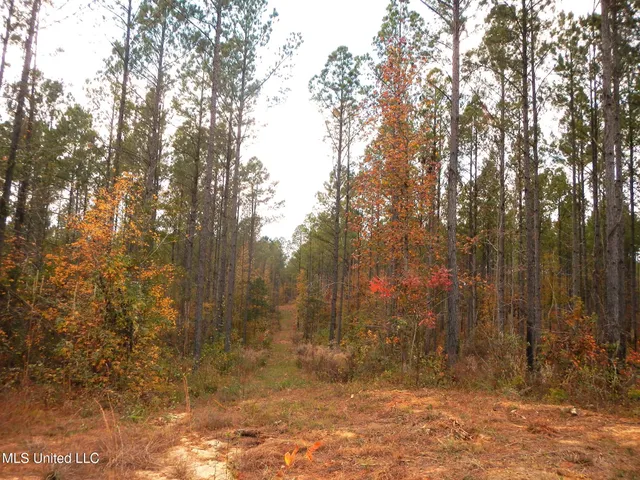 $599,000 | 773 Permenter Road, Camden, MS 39045