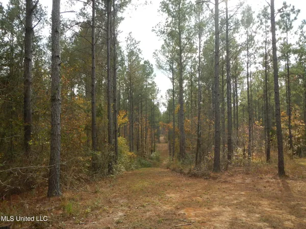 $599,000 | 773 Permenter Road, Camden, MS 39045